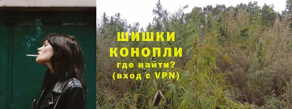 амф Абаза