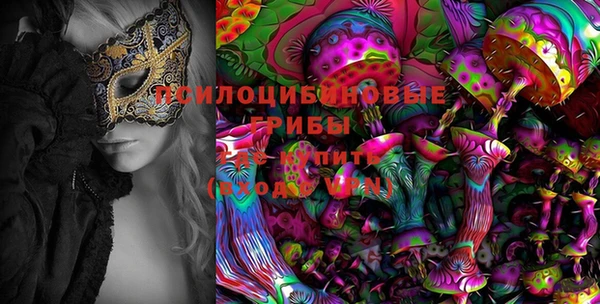амф Абаза