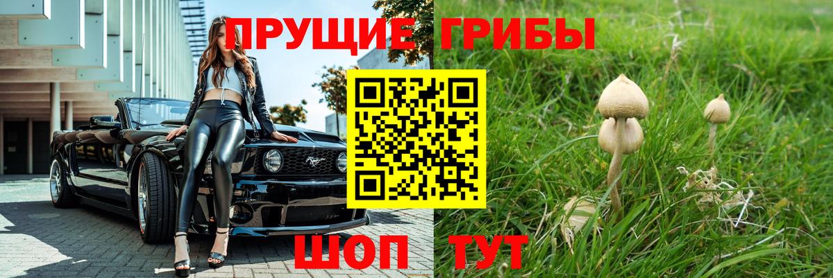 Новочебоксарск  Псилоцибиновые грибы мицелий  Вход с VPN 