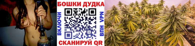 цены наркотик  Новочебоксарск  Шишки марихуана SATIVA & INDICA 